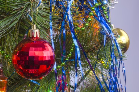 fir-tree branch in New Year's evening with a glass toyの写真素材