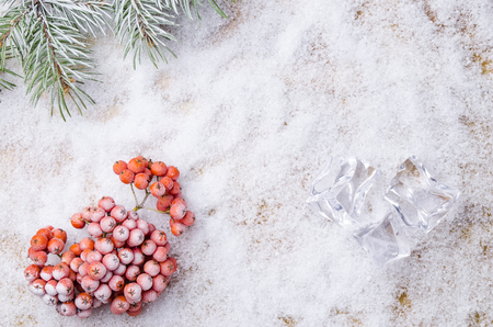 background from white snow and a green branch of a fir-treeの写真素材