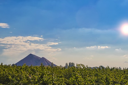 landscape of the artificial mountain in sunny autumn dayの写真素材