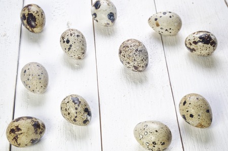 spotted quail eggs on a white backgroundの写真素材