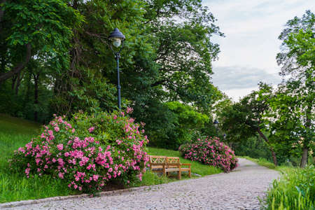 Spring view in Letna Park, Prague, Czech Republic. Spring in Praha , beautiful Letna park Letenske sady in sunlight, sunny landscape, popular tourist destination, Prague, Czech Republicの写真素材