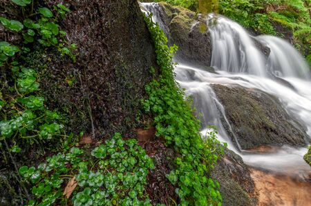 waterfall in the mountains in forest