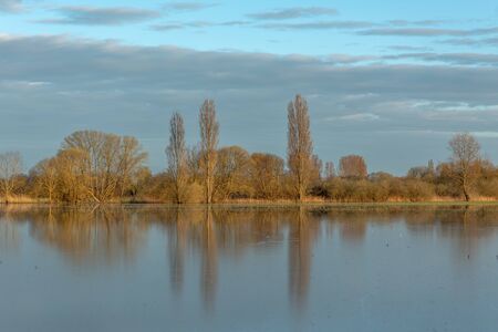 Trees reflecting in the water of a flooded meadow