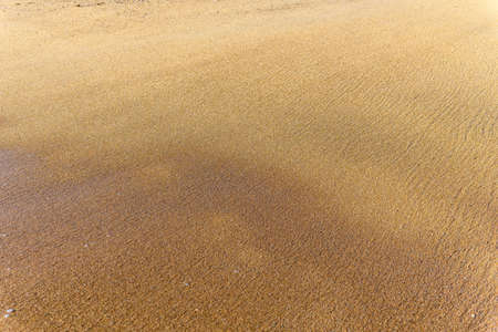 Texture background of natural sand at the beach.