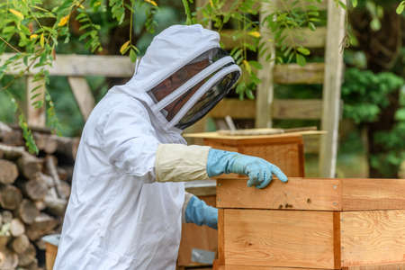 Portrait of beekeeper carrying honeycomb box while working at apiary.