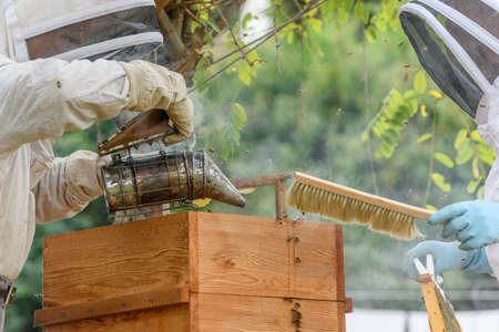Portrait of beekeeper carrying honeycomb box while working at apiary.の写真素材