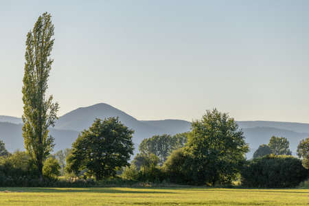 Landscape of the Alsace plain with the Vosges mountains in the background.の写真素材