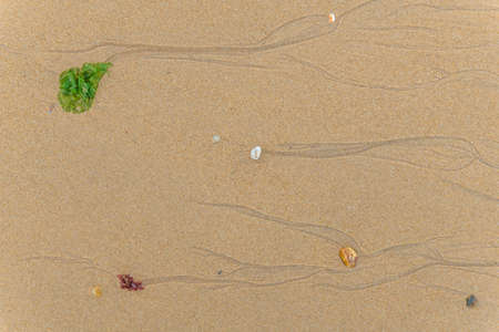 Pebbled on a beach at the Atlantic ocean.の写真素材