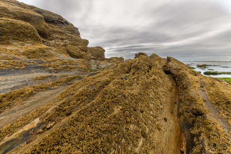 Rocks at low tide on the French Atlantic coast.