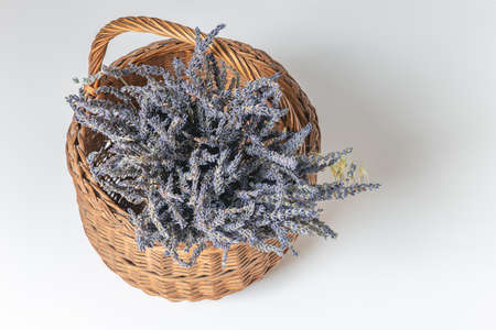 Bouquet of lavender flowers in a wicker basket. Isolated on wihte background.の写真素材