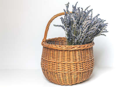 Bouquet of lavender flowers in a wicker basket. Isolated on wihte background.の写真素材