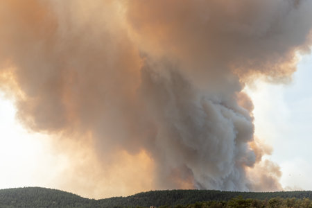 Forest fire wreaks havoc on causse de savior. Montuejols, Aveyron, Cevennes, France.の写真素材