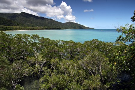 Cape Tribulation, Far North Queenslandの写真素材