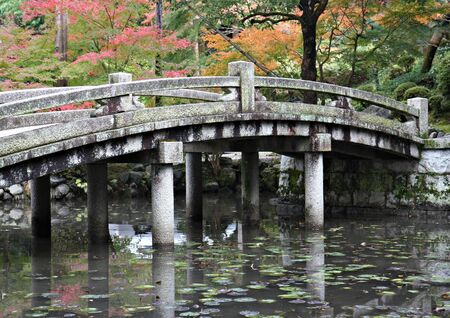 Autumn Colours in Kyoto