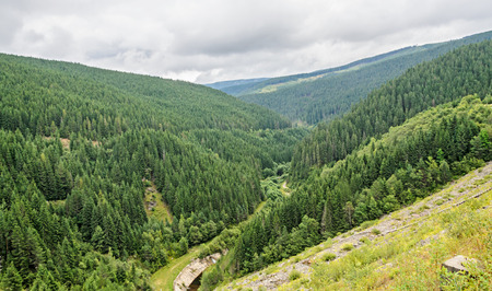 Green grass hills on the Transalpina road,  Parang Mountains, pine forests,  Carpathian Mountains.のeditorial素材