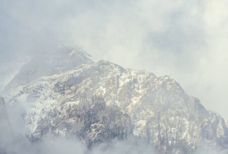 Carpathians Mountain range with pine forest and fog, winter time with snowの写真素材