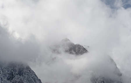 Romanian mountains range with pine forest and fog, winter time with snow.