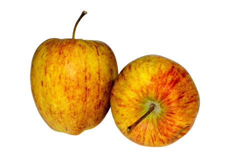 Yellow, orange, red apples isolated on white backgroundの写真素材