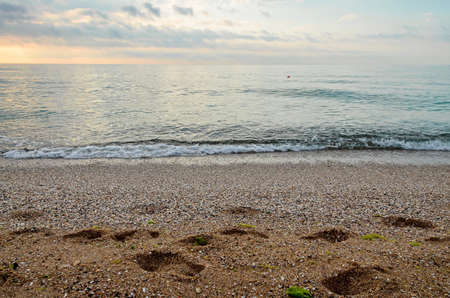 Beach of Black Sea from Golden Sands, Bulgaria with golden sands, blue clear water, fluffy clouds sky, sunrise.の写真素材