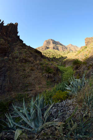 walk throuh the Masca canyon, Tenerife, Spain. beautiful and steep gorge. Fisheye lensの写真素材