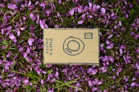 cardboard camera and violet flowers petalsの写真素材