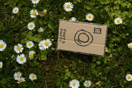 cardboard camera and little flower backgroundの写真素材