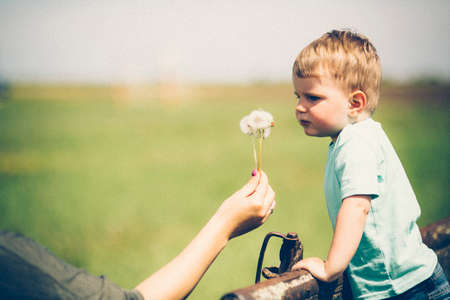 Parent holding a dandelion to be blown by childの写真素材