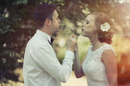 Beautiful couple blowing dandelions after getting marriedの写真素材