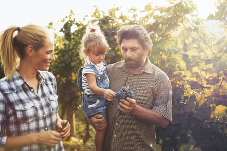 Happy winegrower faimly in vineyardの写真素材