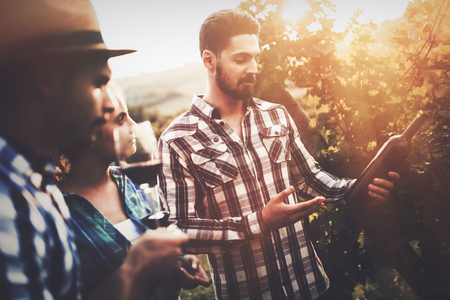 Wine grower and people in winery vineyardの写真素材