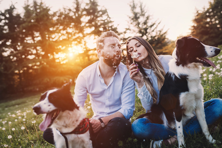 Beautiful romantic couple in love walking dogs in nature and smilingの写真素材
