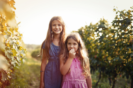 Happy little girls in vineyardの写真素材