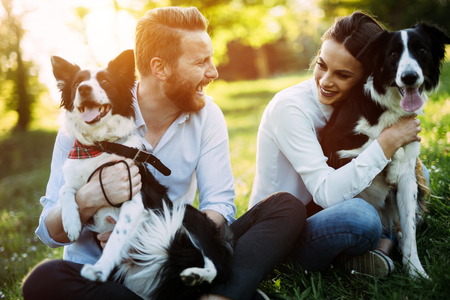 Romantic couple in love walking dogs in nature and smilingの写真素材