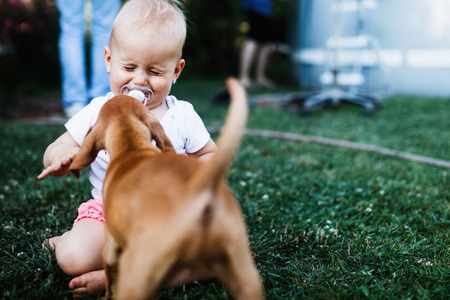 Portrait of cute baby playing with dog lawnの写真素材