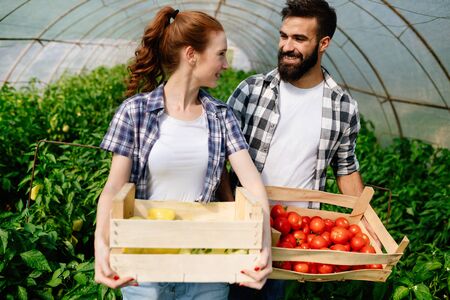 Young couple of farmers working in greenhouseの写真素材