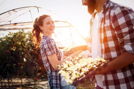 Image of couple of farmers seedling sprouts in gardenの写真素材
