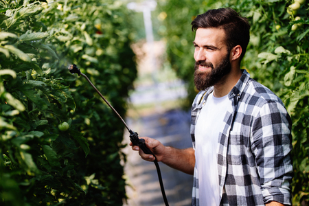 Young farmer protecting his plants with chemicalsの写真素材