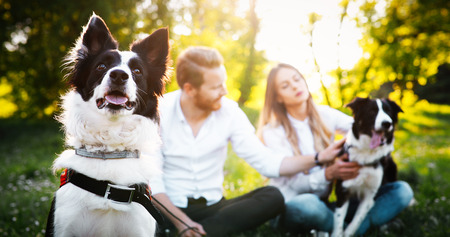 Romantic happy couple in love enjoying their time with pets in natureの写真素材