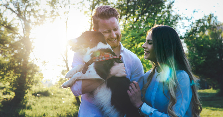 Romantic couple in love walking dogs and bondingの写真素材