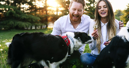 A young couple walking a dog in the parkの写真素材