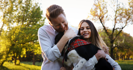 Beautiful couple cuddling and walking dogs outdoorsの写真素材