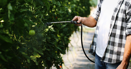 Young farmer protecting his plants with chemicalsの写真素材