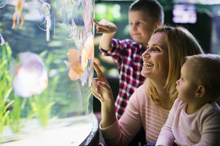 Happy family looking at fish tank at the aquariumの写真素材
