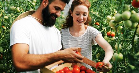 Attractive happy female farmer working in greenhouseの写真素材