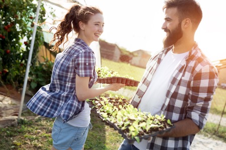 Two attractive young women working in greenhouse and planting seeds.の写真素材