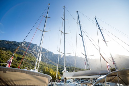 Picture of luxury white yachts in harborの写真素材