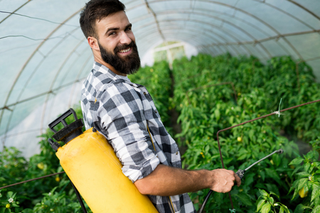 Young farmer protecting his plantsの写真素材