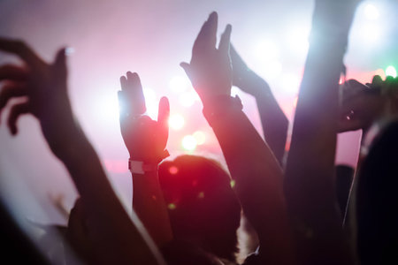 Picture of party people at music festival