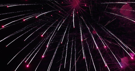 Firework. Celebratory bright firework in a night skyの写真素材