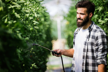 Young farmer protecting his plantsの写真素材